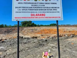 PT Rimau Energy Mining: Sorotan Aktivitas Tambang dan Jawaban Manajemen