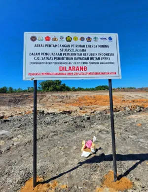 PT Rimau Energy Mining: Sorotan Aktivitas Tambang dan Jawaban Manajemen