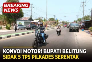 Konvoi Motor! Bupati Belitung Sidak 5 TPS Pilkades Serentak