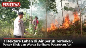 Polsek Sijuk dan Warga Berjibaku Padamkan Api, 1 Hektare Lahan di Air Seruk Terbakar